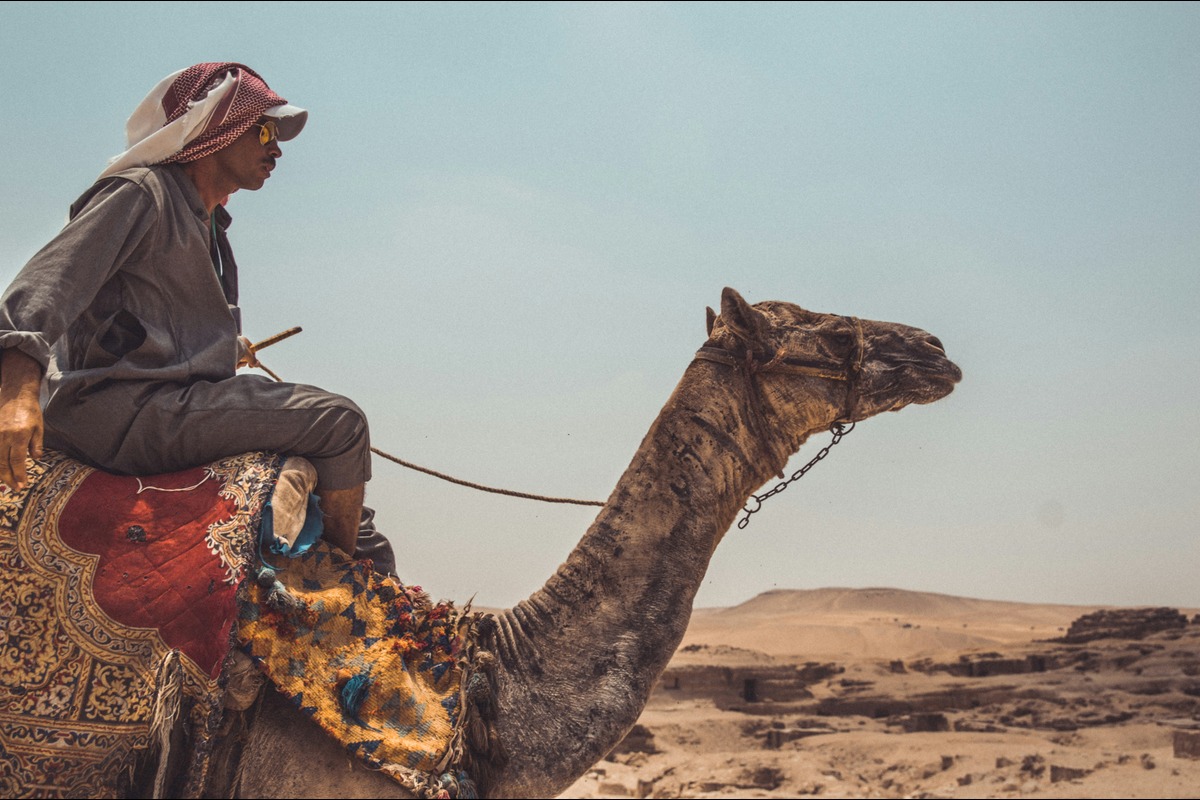 Setting the Stage for Innovation: Preview of AfricaCom 2024