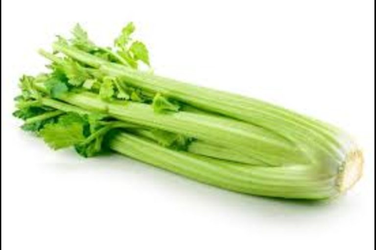 Pravi Celer Power: The authentic celery that heals naturally
