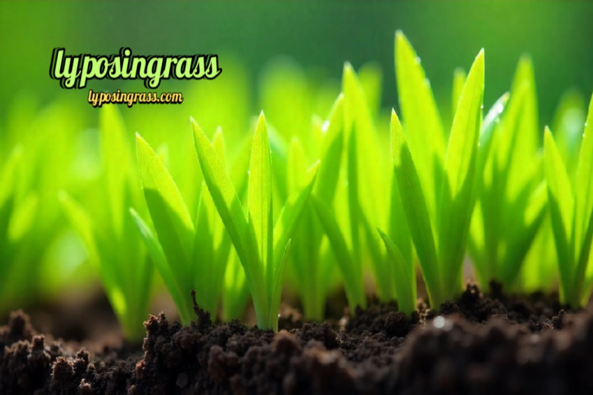 The science behind Lyposingrass: What research says about its properties